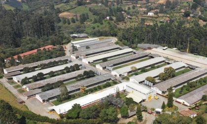 Imagen de  Sello de Sostenibilidad Avícola, uno de los reconocimientos que enorgullecen a Avinal