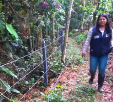 CRC y Corpofuturo protegen bosque nativo