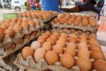 Imagen de Gobierno Petro regala huevos a miles de familias vulnerables en plena época electoral