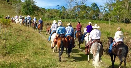 Imagen de  Polémica por proyecto de ley que regula las cabalgatas como actividad económica