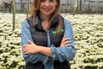 Imagen de Día de la Madre activa el Plan Pétalo, la operación de flores que genera 240 000 empleos y exporta a 100 mercados