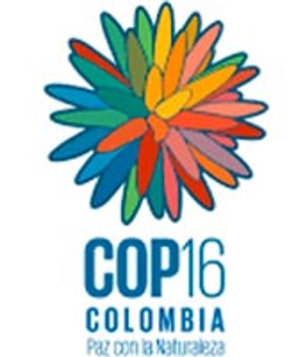 ¿Cuáles son los alcances de la COP16?...Lea.