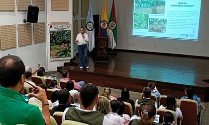 Bosques Urbanos contra el cambio climático