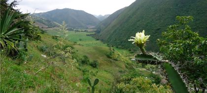 Imagen de  Ambientalistas alarmados por nuevo decreto de Petro: campesinos podrán cultivar en áreas protegidas