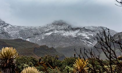 Medidas para proteger Los Nevados