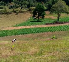 Valle revisará avalúos en 25 municipios
