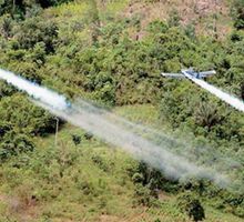 Alcalde de Cali exige erradicación de 1.800 hectáreas de coca en Jamundí para frenar la violencia en la ciudad