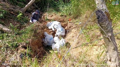 Imagen de  Cuerpos exhumados en fosa común en Santa Bárbara son cuatro hombres y una mujer, presuntas víctimas de banda Los de Jhony