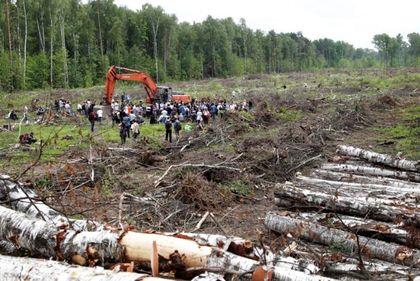 Imagen de  Los bosques del mundo perdieron más de 400 millones de hectáreas entre 1990 y 2020