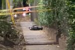 Imagen de Militar abate a dos presuntos ladrones durante intento de hurto en Medellín
