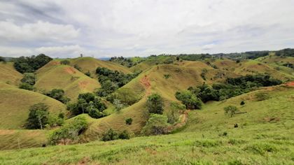Imagen de  Cornare archivó la solicitud de licencia ambiental para proyecto minero en la región