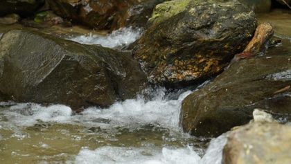 Imagen de  Frente a la amenaza de «El Niño», Medellín y Cornare inyectan $5 000 millones para asegurar el agua en La Fe