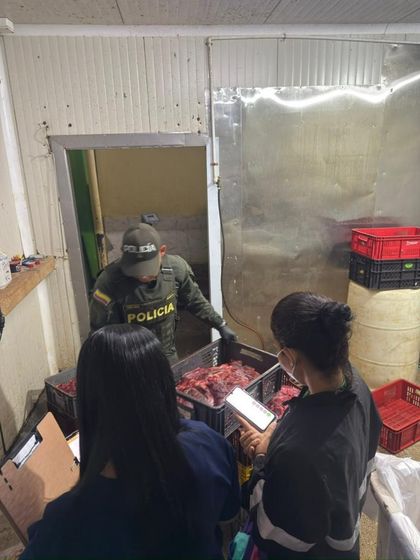 Imagen de Incautan más de 3 toneladas de carne en Campo Valdés, Medellín