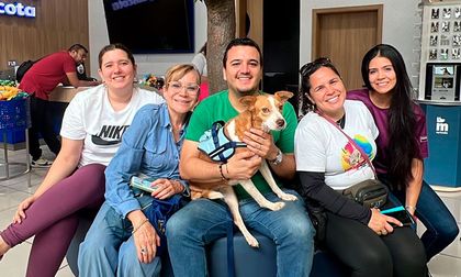 Cali lanza la Ruta contra el Maltrato Animal: busca atender denuncias