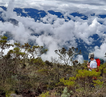 Encuentran más de cuatro mil microorganismos en el Valle