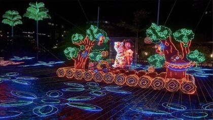 Imagen de Estos son los municipios del Oriente antioqueño que tendrán alumbrado navideño de EPM