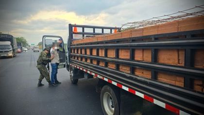 Imagen de  Incautan cerca de una tonelada de marihuana oculta en cargamento de ladrillos en el Cauca