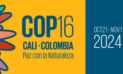 La COP16 es una oportunidad histórica