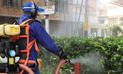 Cali podría declarar el fin de la epidemia de dengue