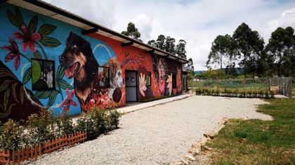 Imagen de  ¡Sueño hecho realidad! La Ceja ya cuenta con un Centro de Bienestar Animal