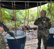 Destruyen complejo cocalero en Nariño