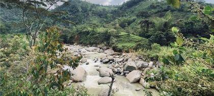 Imagen de  Construirán puente peatonal para beneficiar a cerca de 350 personas de Granada y Cocorná