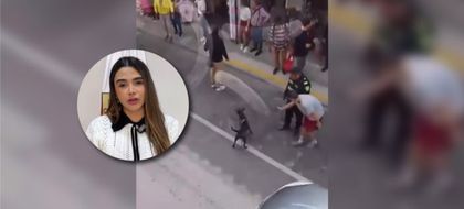 Imagen de  Alcaldía de Rionegro pidió investigación «rigurosa, objetiva y transparente» por muerte de canino