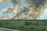 Imagen de Voraz incendio arrasa más de 2 000 hectáreas en los Everglades, el mayor ecosistema natural de Florida
