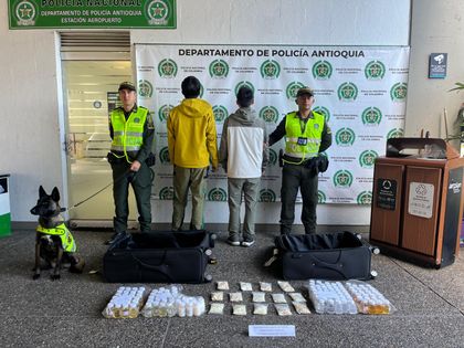 Imagen de Dos ciudadanos chinos pretendían traficar 14 kilos de alcaloides desde el aeropuerto de Rionegro. El canino Molly los descubrió