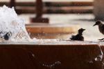 Imagen de El Niño dispara los termómetros en el Caribe colombiano y amenaza a la población y el agua