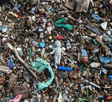 Investigación alerta sobre el impacto de los microplásticos