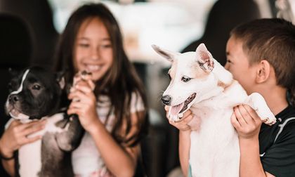 Perros y niños: Cómo crear una convivencia armoniosa en el hogar