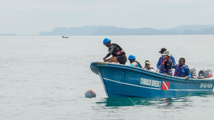 Imagen de  Temporada de avistamiento de ballenas: esto es lo que debe tener en cuenta en la experiencia