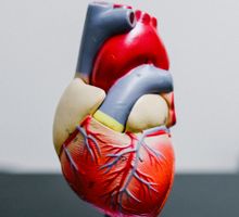 En el Día del corazón, prevenga las enfermedades cardiovasculares