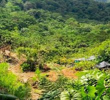 Detectan minería ilegal en el río Dagua en Buenaventura y alertan por impactos ambientales