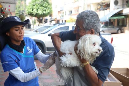 Imagen de  Alcaldía inició jornadas de vacunación antirrábica para inmunizar 110 000 perros y gatos de Medellín
