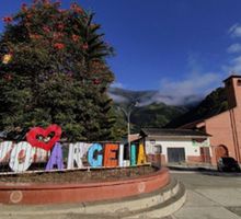 Siguen desplazamientos en Argelia por combates
