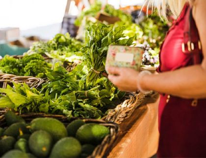 Imagen de  Ya están abiertas las inscripciones para la feria nacional de agricultura: así puede participar