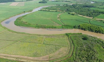 Reverdece ribera del río Cauca