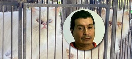 Imagen de  Judicializaron a hombre por tener en cautiverio y en precarias condiciones a 15 animales domésticos y silvestres