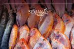 Imagen de ¿Va a consumir pescado en Semana Santa? Estas son las recomendaciones para hacerlo sin riesgos