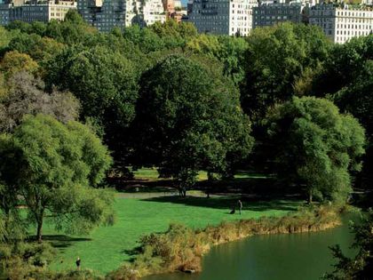 Donaciones para Central Park