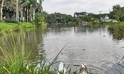 Semana de la Biodiversidad en Cali: bioeconomía, negocios y sostenibilidad en una sola agenda: conozca cuándo, cómo y por qué participar
