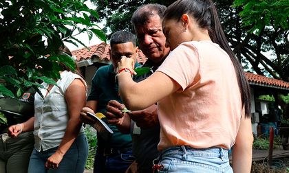 Dagma capacita a su personal para cuidar el arbolado urbano de Cali