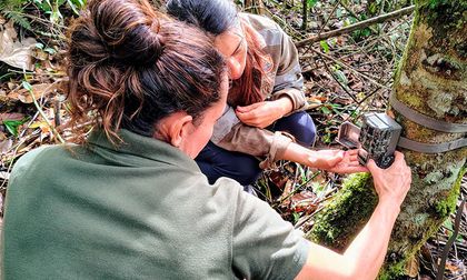 Cali protegerá su biodiversidad con apoyo de IA