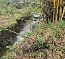 Hallan en Palmira fuente de agua subterránea
