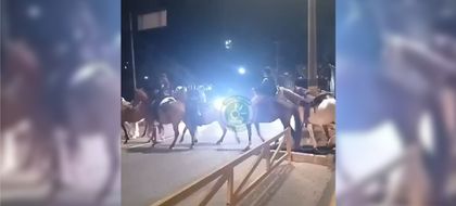 Imagen de Un motociclista y su acompañante resultaron heridos tras chocar contra varios caballos en Guarne