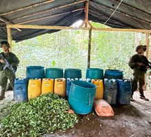 Destruyen 35 laboratorios ilícitos en el Pacífico