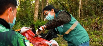 Imagen de  Cornare confirmó que los 16 gallinazos hallados muertos en Guarne sí fueron envenenados 