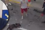 Imagen de Personería de Rionegro revisa procedimiento policial en el que murió un perro
